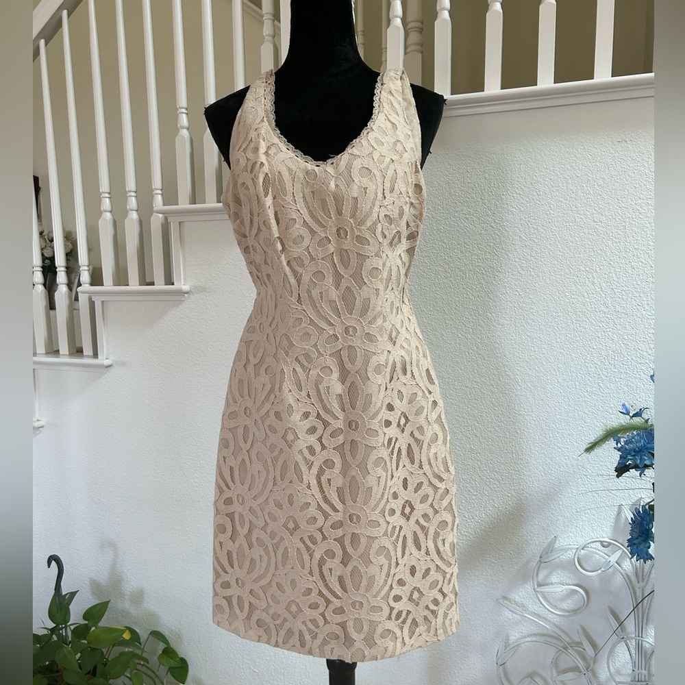 Beautiful Dress - Romantic Floral Lace Design
